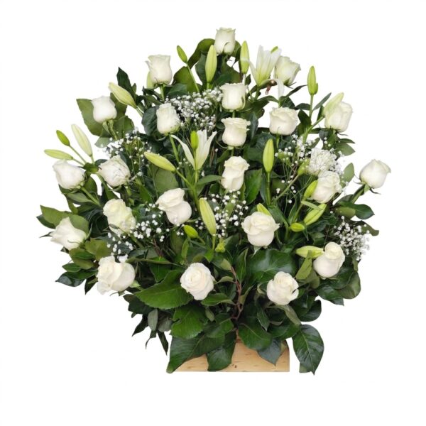 Abanico de Condolencias