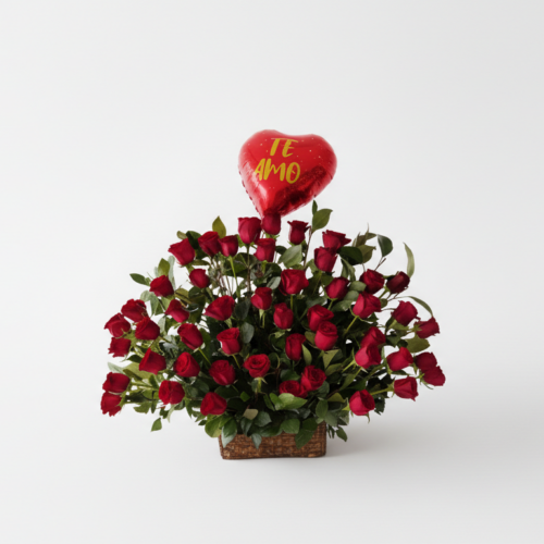 Abanico de 50 Rosas Rojas Ecuatorianas