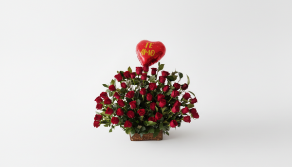 Abanico de Rosas Rojas Abanico de 50 Rosas Rojas Ecuatorianas