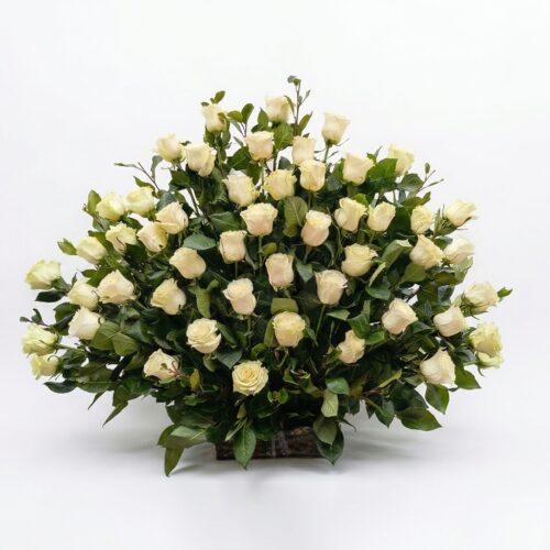 Abanico de 50 Rosas blancas Ecuatorianas