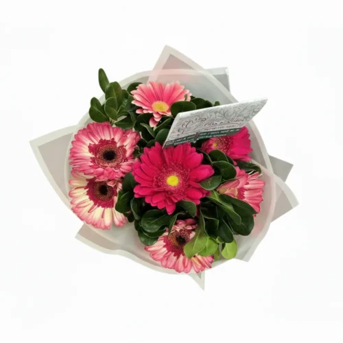 ramo-10-gerbera-031 Ramo de 10 Gerberas