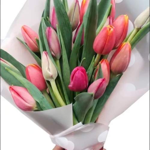 ramo-20-tulipanes-033 Ramo de 20 Tulipanes