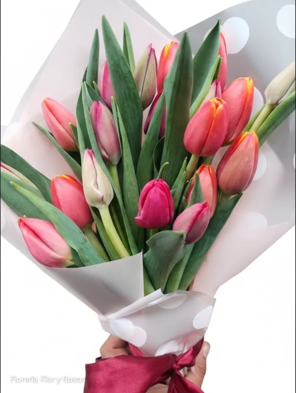 Ramo de 20 Tulipanes