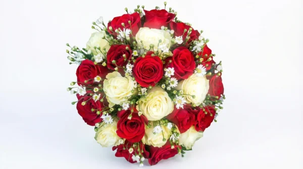 Ramo de Rosas 25 rosas MIxtas